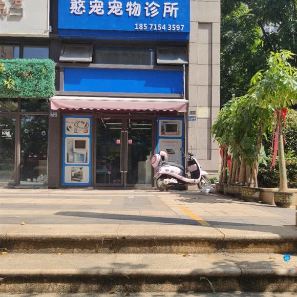 憨宠宠物诊所:武汉市武昌区石牌岭/街道口附近