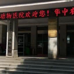 华中农业大学动物医院:武汉市武昌区石牌岭/街道口附近