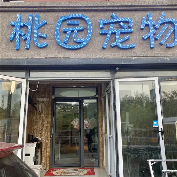 桃园宠物中心:天津城区红桥区芥园道/复兴路附近