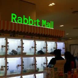 Rabb:t Mall(凯德广场1818店):武汉市武昌区楚河汉街附近