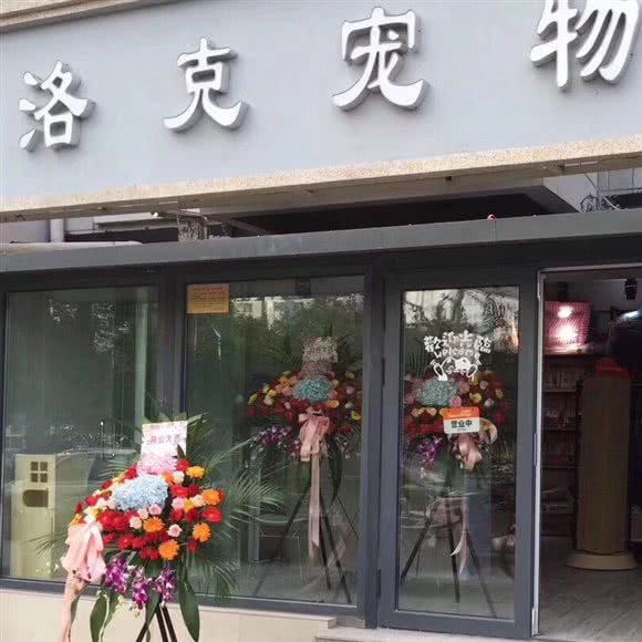 洛克宠物馆:天津城区红桥区芥园道/复兴路附近