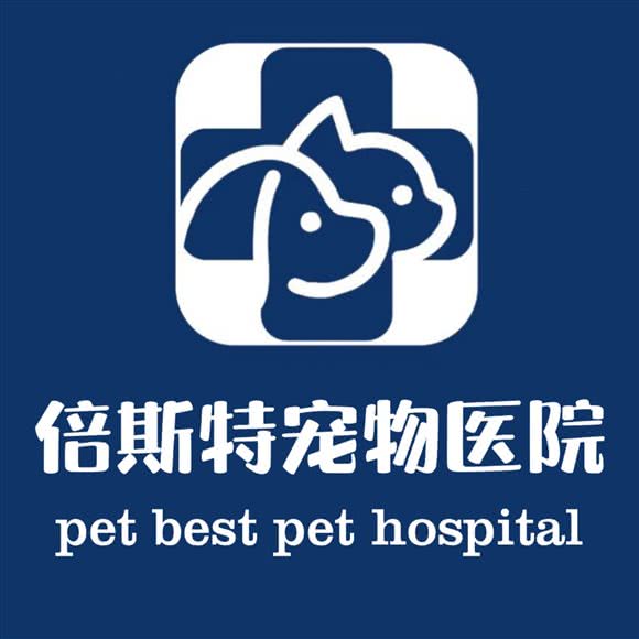 倍斯特动物医院:武汉市武昌区楚河汉街附近