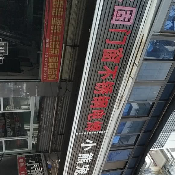 小熊宠物店:武汉市武昌区司门口附近