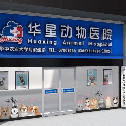 华星动物医院:武汉市武昌区珞珈山附近