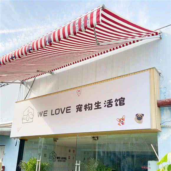 WE THE 微乐宠物猫咖生活馆:武汉市武昌区徐东大街附近