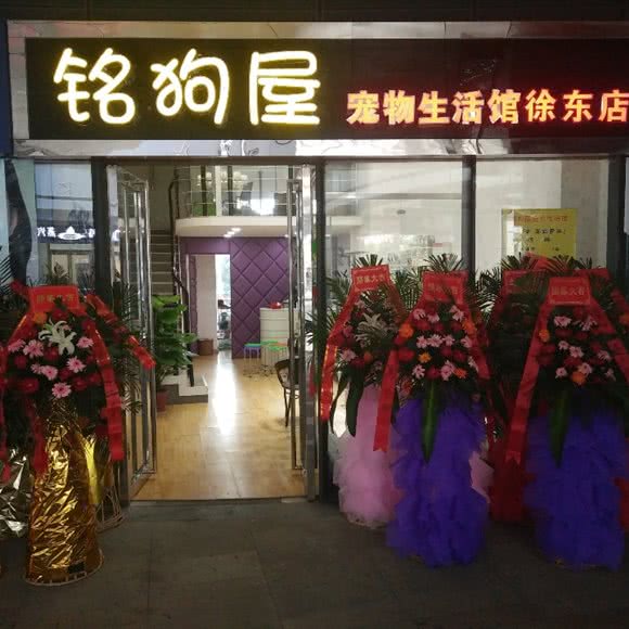 铭狗屋宠物生活馆(徐东店):武汉市武昌区徐东大街附近