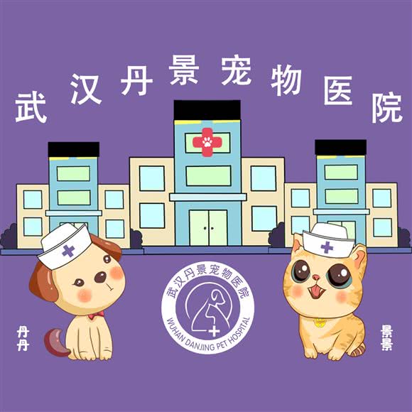 丹景动物医院(武昌院):武汉市武昌区和平大道积玉桥附近