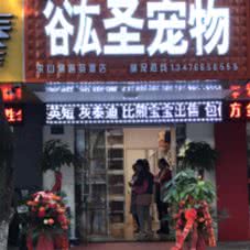 谹圣宠物(洪山侧路店):武汉市武昌区水果湖附近