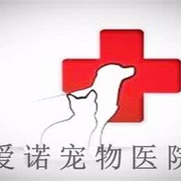 爱诺宠物医院:武汉市武昌区丁字桥/石牌岭附近