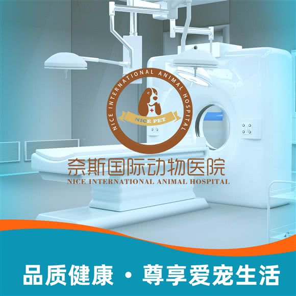 奈斯国际动物医院(核磁CT内视镜中心):武汉市武昌区中南路/洪山广场附近