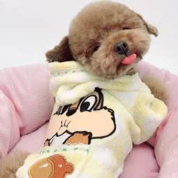 爱尚宠物(才汇巷店):武汉市武昌区余家头/四美塘附近