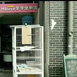 Pet House李李宠物馆(青城第一街店):武汉市武昌区余家头/四美塘附近