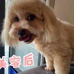 宠乐窝宠物生活馆:武汉市武昌区余家头/四美塘附近