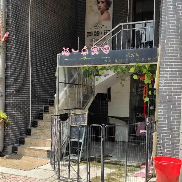 萌一点宠吧(青城第一街店):武汉市武昌区余家头/四美塘附近