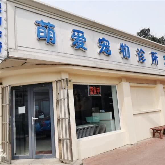 萌爱狗狗诊所:天津城区红桥区邵公庄/创意街附近