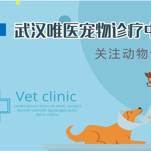 唯医宠物医院:武汉市武昌区余家头/四美塘附近