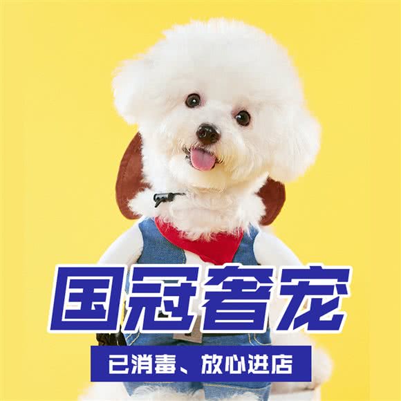 国冠奢宠(珠江帝景店):北京城区朝阳区劲松/潘家园附近