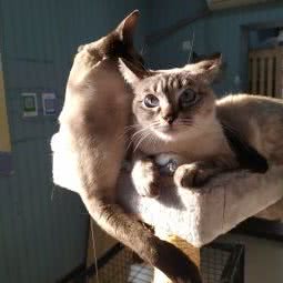 蒙多多宠物生活馆:武汉市武昌区首义汇/阅马场附近