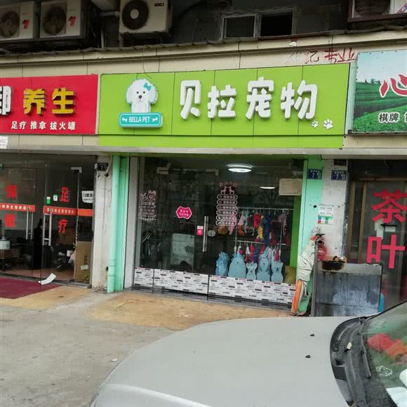 贝拉狗狗:武汉市武昌区首义汇/阅马场附近