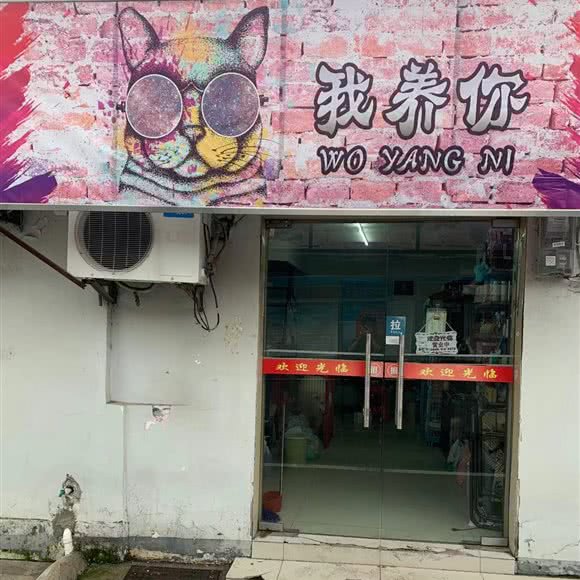 我养你宠物店:武汉市武昌区首义汇/阅马场附近