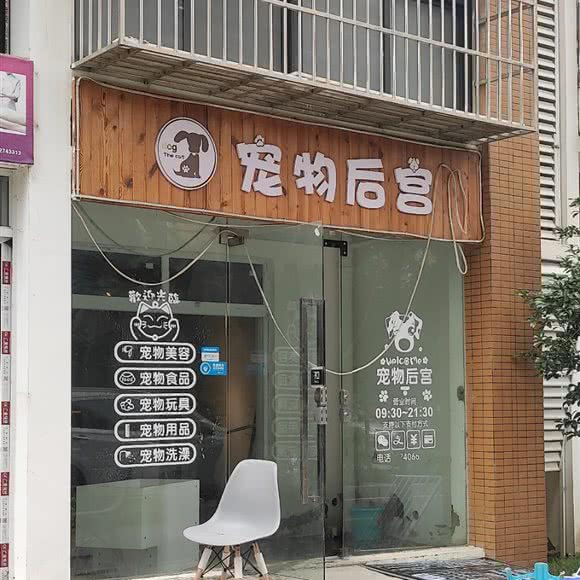 宠物后宫:武汉市青山区八大家/红钢城附近