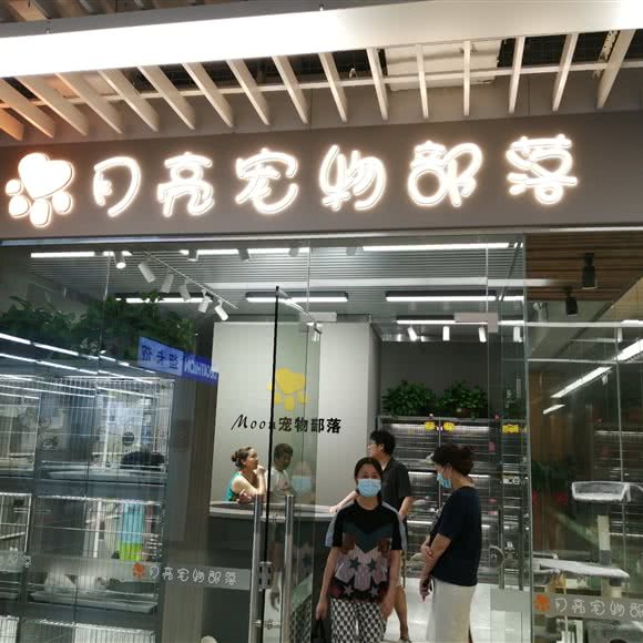 月亮宠物部落:武汉市青山区八大家/红钢城附近