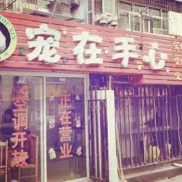 宠在手心:武汉市青山区八大家/红钢城附近