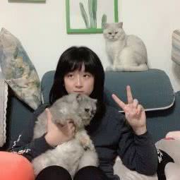 瑞祺宠物:武汉市青山区八大家/红钢城附近