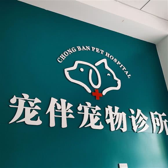 宠伴宠物医院:武汉市青山区八大家/红钢城附近