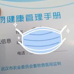 和平宠物诊所:武汉市青山区八大家/红钢城附近