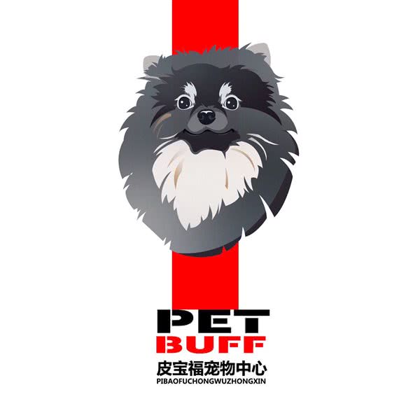 皮宝福宠物狗美容中心:天津城区红桥区三条石附近