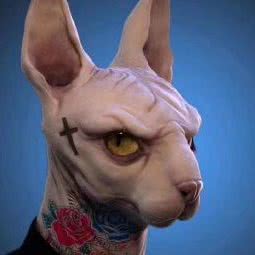 津门萌宠猫舍:天津城区红桥区三条石附近