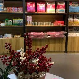 六六萌宠:武汉市洪山区光谷/鲁巷附近