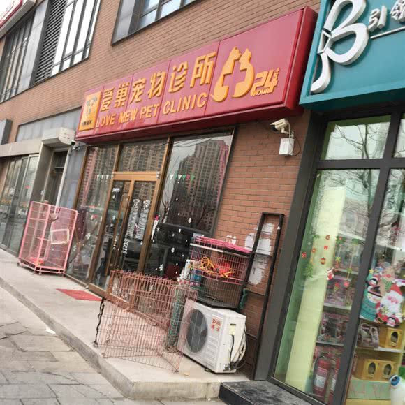 爱巢宠物狗诊所:天津城区红桥区三条石附近