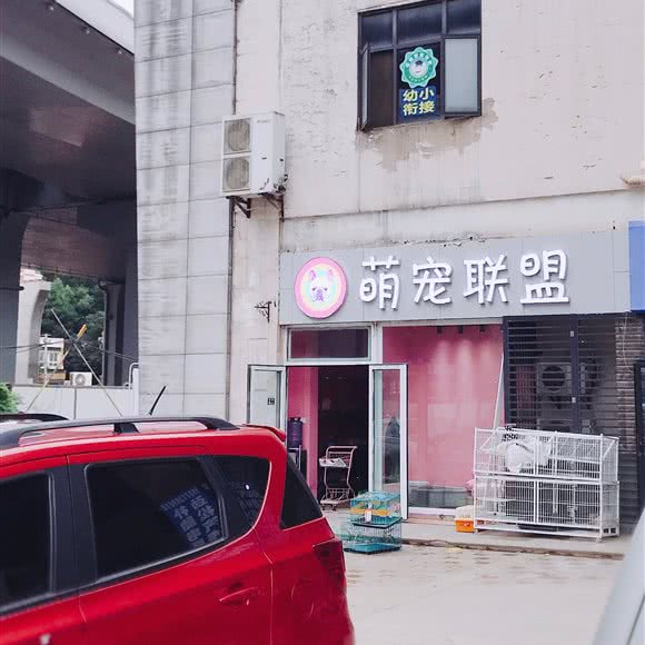萌宠联盟:武汉市洪山区光谷/鲁巷附近