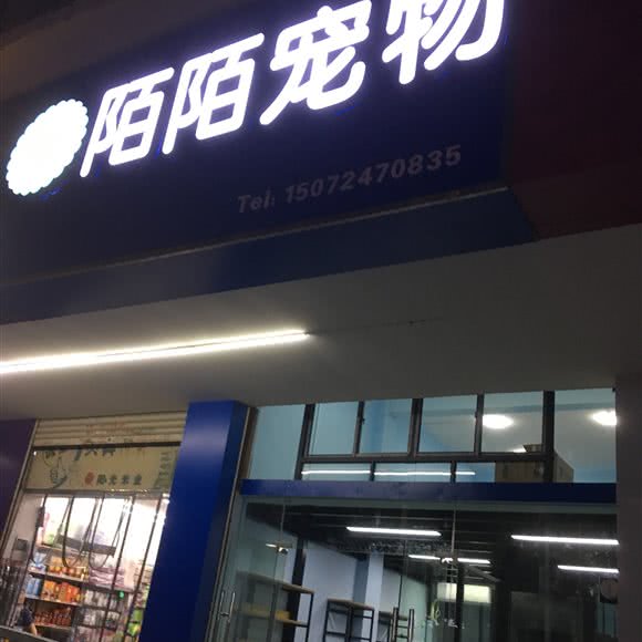 陌陌宠物:武汉市洪山区光谷/鲁巷附近