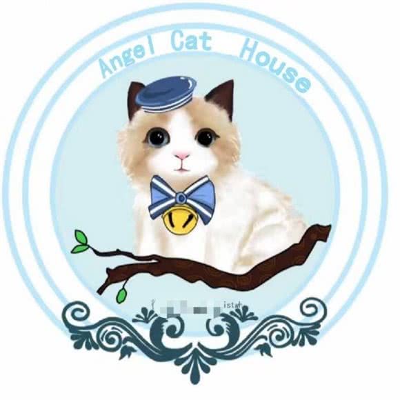 猫咪王国猫舍宠物店:武汉市洪山区光谷/鲁巷附近