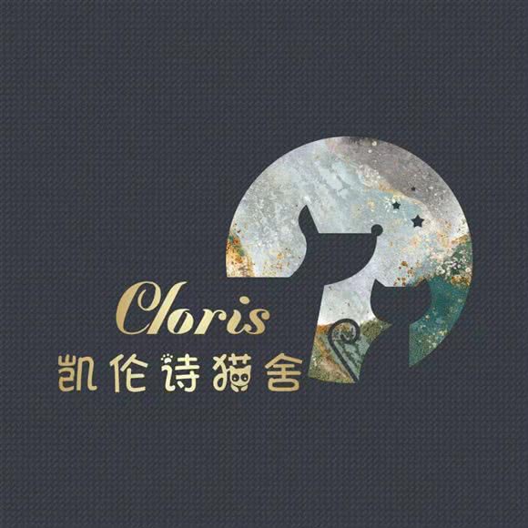 凯伦诗猫舍·宠物店(总店):武汉市洪山区光谷/鲁巷附近