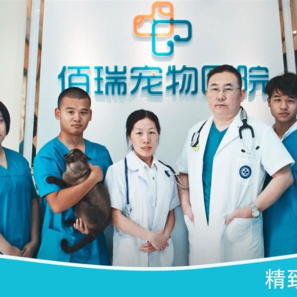 佰瑞宠物医院:武汉市洪山区光谷/鲁巷附近
