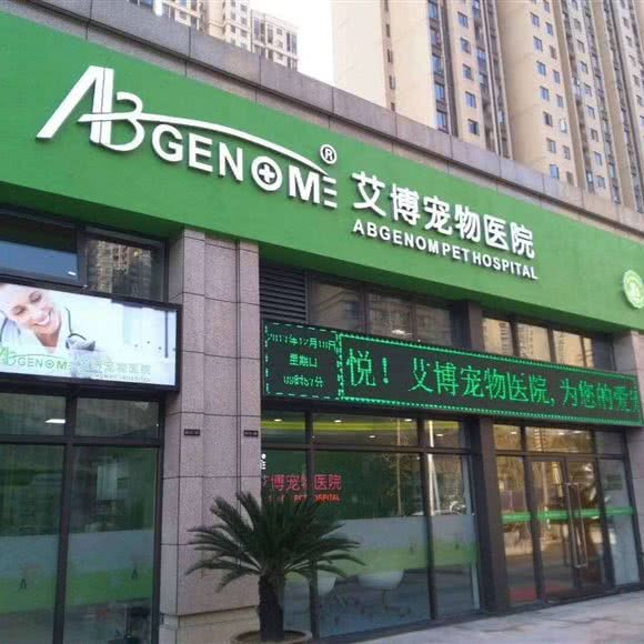 艾博宠物医院(金地天悦分院):武汉市洪山区光谷/鲁巷附近