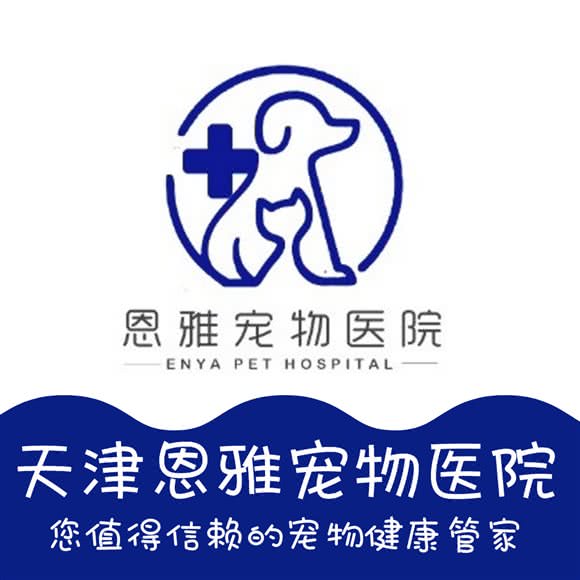 恩雅宠物医院(天泰路店):天津城区红桥区凯莱赛/西沽附近