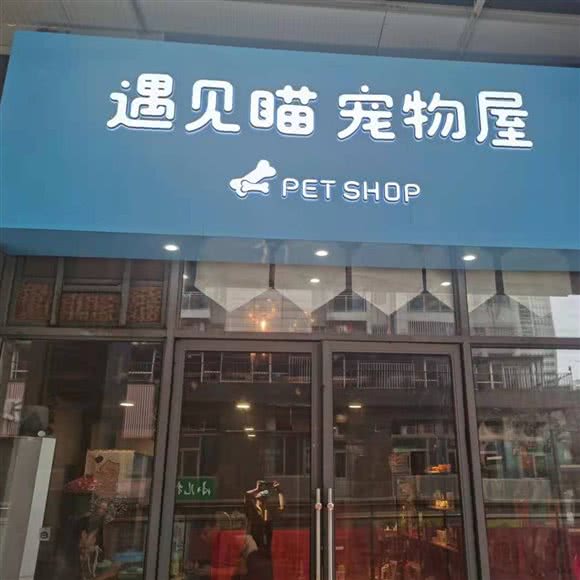 遇见喵宠物屋:武汉市洪山区卓刀泉/虎泉附近