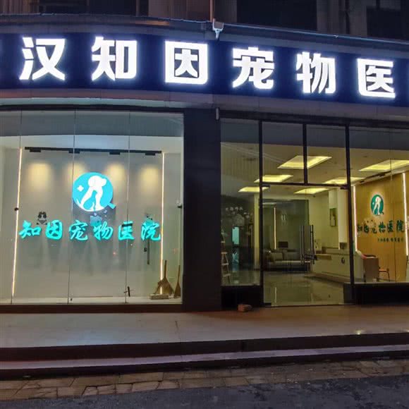 武汉知因宠物医院:武汉市洪山区卓刀泉/虎泉附近