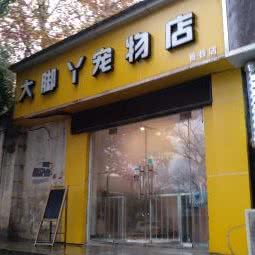 大脚丫宠物店:武汉市洪山区雄楚大道附近