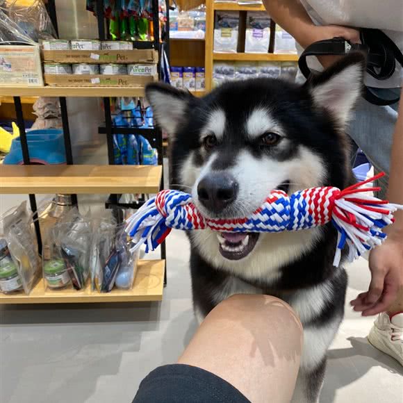 宠邦宠物生活馆(金地格林店):武汉市洪山区南湖花园附近