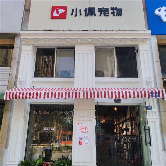 梦宠日常生活:武汉市洪山区南湖花园附近