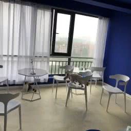 蓝色实验室猫咖:武汉市洪山区南湖花园附近