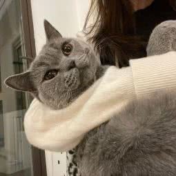 MARSIPET火星宠物沙龙:武汉市洪山区武汉火车站/杨春湖附近