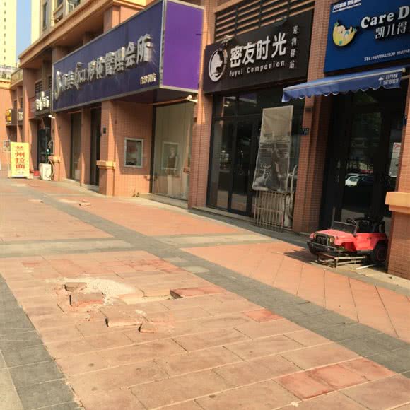 挚友时光宠物驿站:武汉市洪山区白沙洲附近