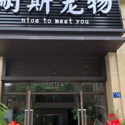 耐斯宠物:武汉市洪山区白沙洲附近